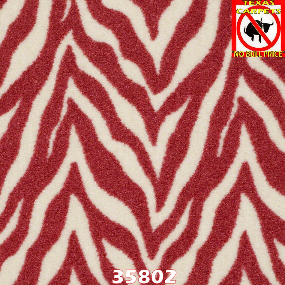 Zesty Zebra Shaw Texas Carpets