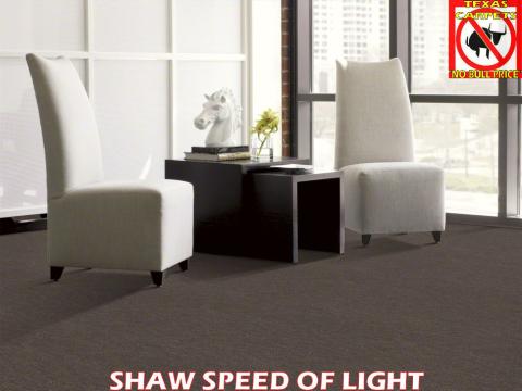 SHAW SPEED OF LIGHT